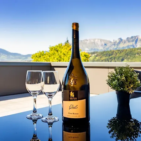 Homy Diamant - Penthouse In Feldkirch, Grenznaehe Und Doch Zentral Feldkirch